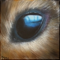 Augenblick eines Degus; Acryl auf Leinwand;
30 x 30 cm